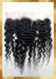 BURMESE CURLY FRONTAL